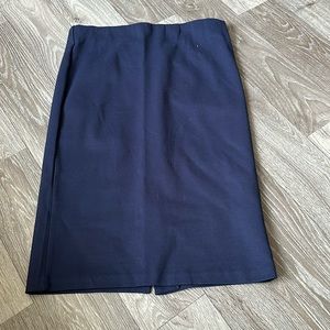 Blue pencil skirt